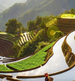 Vẻ đẹp nhân văn trong Triển lãm Mỹ thuật-Nhiếp ảnh "Sắc thu"